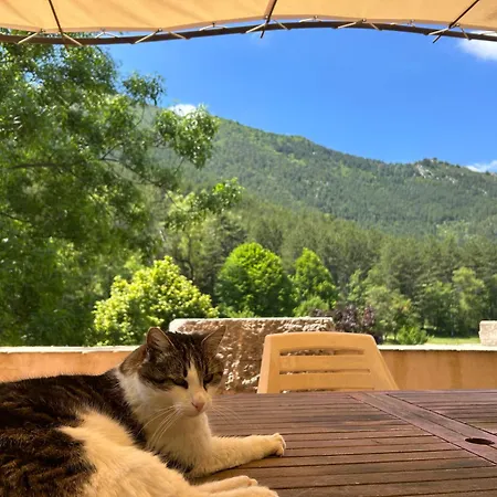 Camping White Rock Castellane