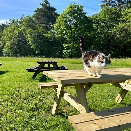 White Rock 카스텔란