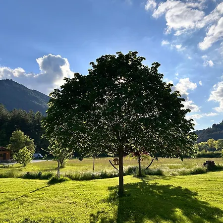 Camping White Rock Castellane